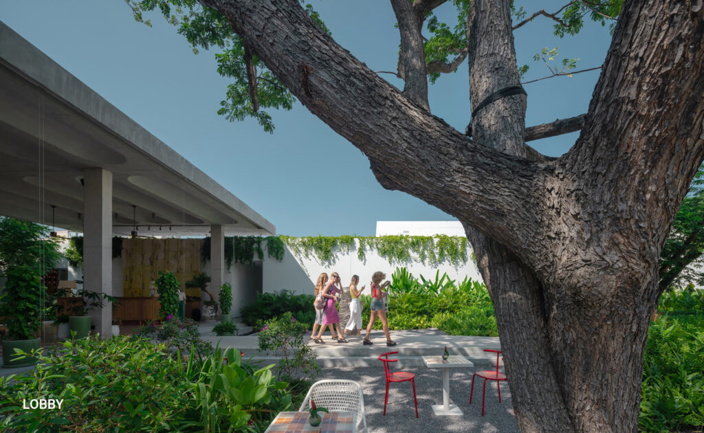 Open-air lobby courtyard at The Standard, Hua Hin, framed by a preserved mature tree, tropical landscaping by Shma, and outdoor seating.