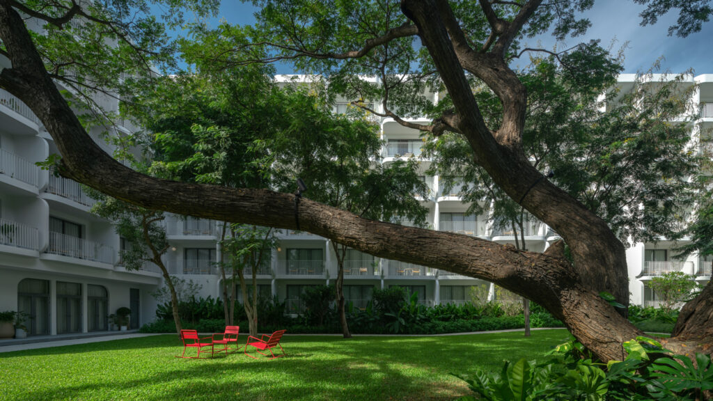 Landscaped courtyard at The Standard, Hua Hin, Thailand, centered on a preserved mature rain tree, with white guest-room balconies and red garden chairs.