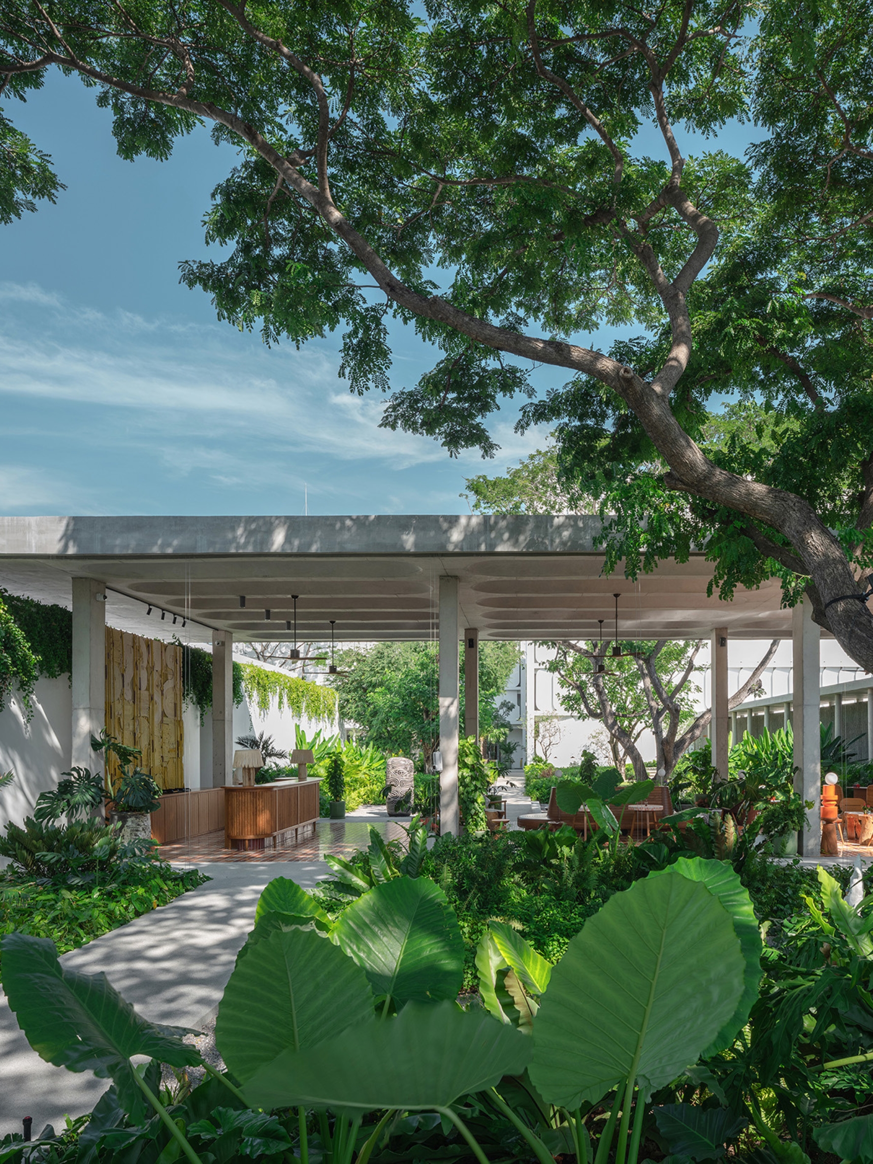Open-air lobby at The Standard, Hua Hin, Thailand, framed by a preserved mature tree and lush tropical landscaping designed by Shma.