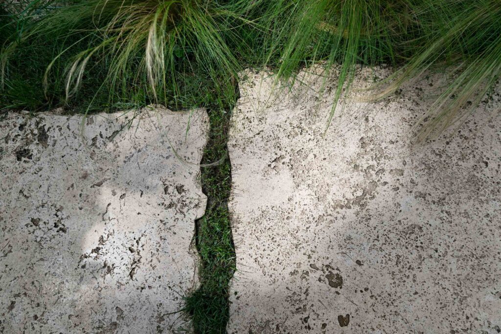 Close-up of textured travertine pavers with irregular edges and grass growing between them.